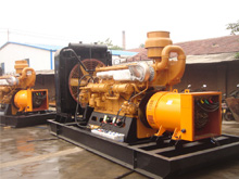 亭湖发电机组的频率规格是如何确定的？